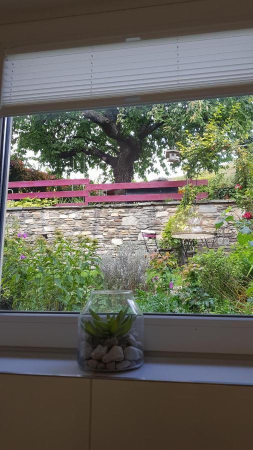 Blick Ueber Krems Mit Gartenpavillon Exterior photo